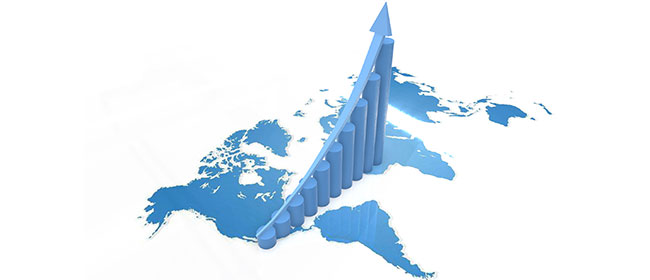 國(guó)內(nèi)外銷(xiāo)售網(wǎng)絡(luò)